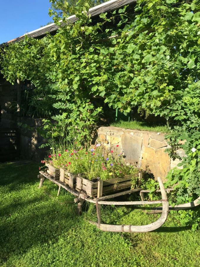 Appartement Traunseeferien Altmünster Kültér fotó
